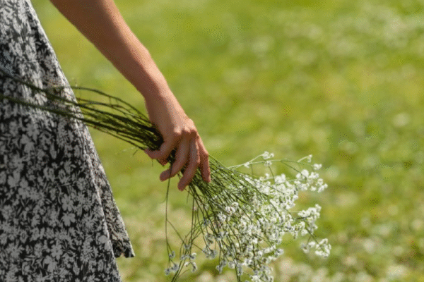 About Us_Home Page Image