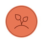 The Ocean Inspired Environment